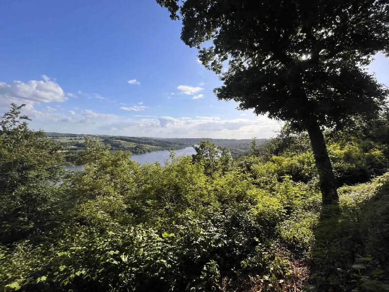 Blick über grünes Laub auf den Baldeneysee unter blauem Himmel mit einzelnen Wolken